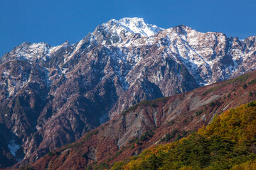 Fototapeta premium 新雪の五竜岳