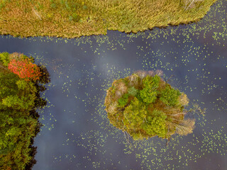 Tychy Poland lake view during autumn season