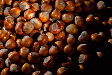 Hazelnuts on a pile close up. Texture of nuts. Contrasting dramatic light as an artistic effect.