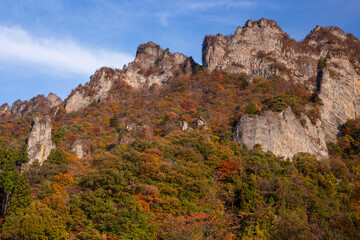 妙義山の黄葉