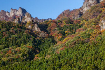 Fototapeta na wymiar 妙義山の黄葉