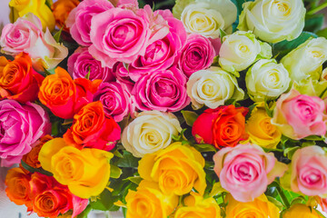 Colorful beautiful flowers bouquet background - roses at studio, flower shop - close up top view. Floristry, romantic, holiday, birthday, valentine day, wedding, celebration concept