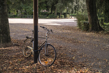 A bike in an autumnal scenery