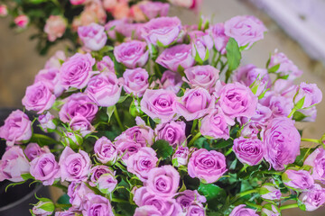Colorful beautiful flowers bouquet - purple roses at studio, flower shop - close up view. Floristry, romantic, holiday, birthday, valentine day, wedding, celebration concept