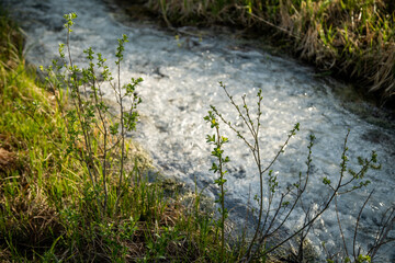 Obraz na płótnie Canvas white river and stream