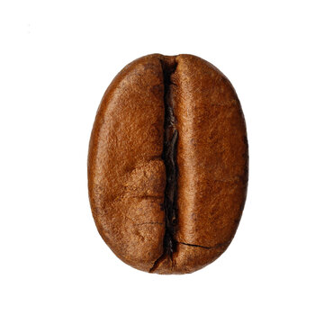 Roasted one arabica coffee bean close up isolated on white background