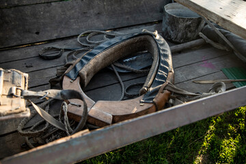 yoke for a horse