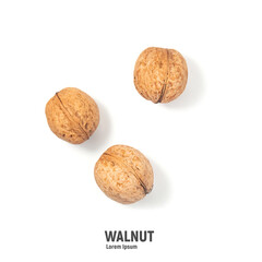 Walnuts isolated on white background. Walnut kernels and whole walnuts
