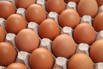 Closeup of many fresh brown eggs in carton tray