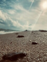 vacation