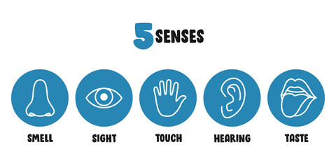 Five Senses Concept With Human Organs