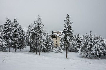 House in the middle of a winter landscape full of snow covered trees.
