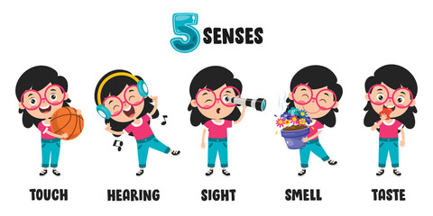 Five Senses Concept With Human Organs