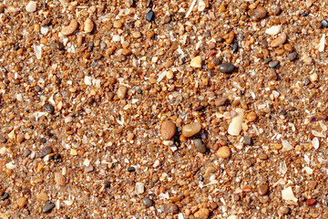 sable, cailloux et coquillages sur la plage