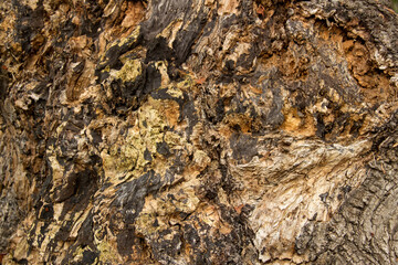 texture
