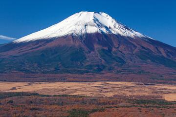 新雪の富士山