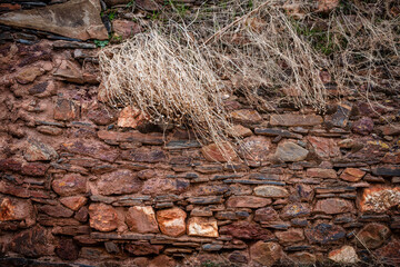 Madriguera, Sierra de Ayllón, Segovian province, Community of Castilla y León, Spain
