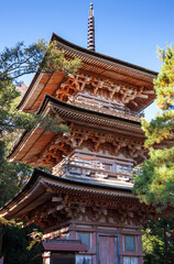 Obraz premium 安楽寺 三重塔