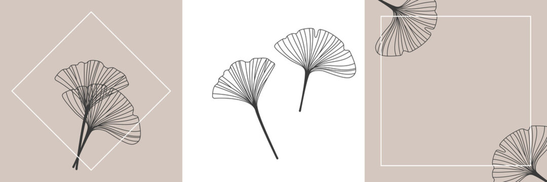 Minimal outline logo set for wedding cards, cosmetics, tattoo, spa, jewelry, yoga design, manicure, branding packaging . Vector illustration in a linear style.