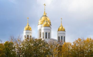 Fototapeta na wymiar Domes of the Cathedral of Christ the Saviour