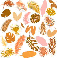 Set of tropical leaves for your design