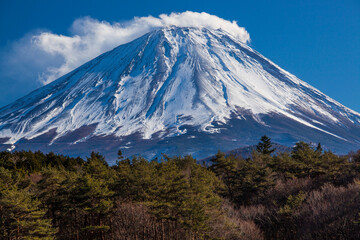 Plakat 精進湖からの富士山