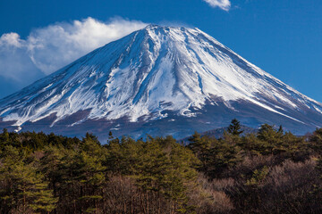 Plakat 精進湖からの富士山