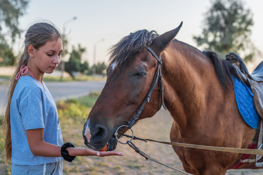 A young girl feeds a horse a carrot, close-up © vadimalekcandr
