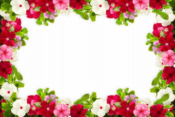 flower texture frame in white background