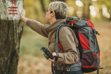 Fototapeta premium Today I Decided I Should Venture Into The Woods