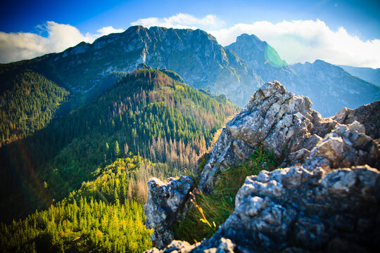 Fototapeta Widok na giewont z Sarniej Skałki, Tatry, Polska