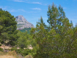 Magnificent landscape near Aix en Provence with the nature of Provence  and the Sainte-Victoire...