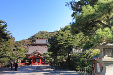 Fototapeta premium 鶴岡八幡宮 本宮 舞殿