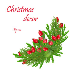 Christmas composition.Christmas decor with wild rose berries, holly leaves and spruce branches. Close-up. Eps10