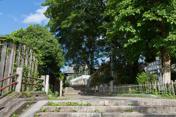 阿智神社参道の石段