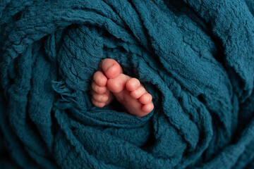 the legs of the newborn in the tissue of the mantle biue