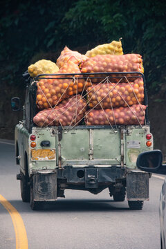 Colombian coffee culture