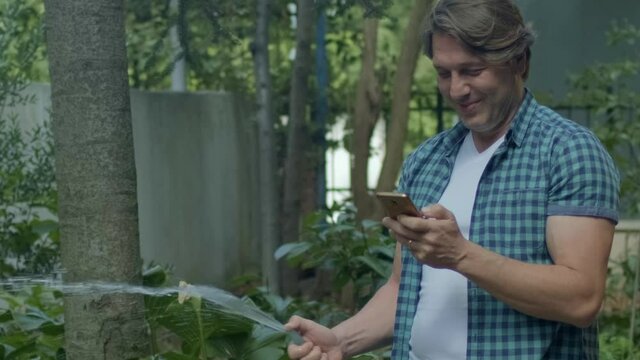 Spraying water on vegetables with a garden hose. A happy man watering the garden from a hose watches funny videos on his phone as he tends to the garden. Concept: gardening and garden care.