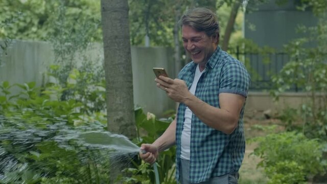 Spraying water on vegetables with a garden hose. A happy man watering the garden from a hose watches funny videos on his phone as he tends to the garden. Concept: gardening and garden care.