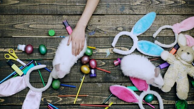 Mother preparing for Easter. Woman hands painting Easter eggs. Pet bunny rabbit. Top view.