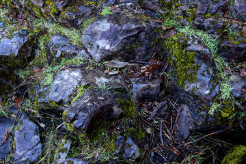 Wet rocks near waterfall