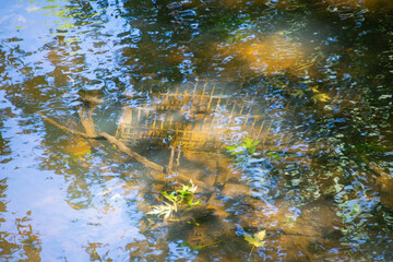 abandoned shopping cart in water