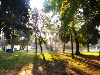 Obraz premium Zadar's Vruljica park at dawn