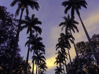 Fototapeta premium Praça da Liberdade 