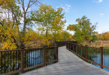Fototapeta premium Wooden Plank Footbridge Across Pond with Colorful Fall Trees