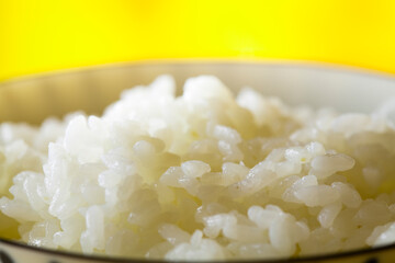 炊き立ての白米