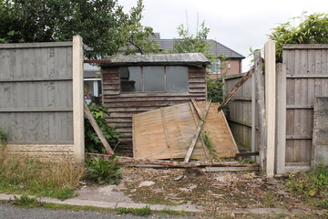 wind damage fence panel at the back of a garden, revealing a ram shackled shed - 390245304