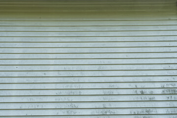 Mold and mildew on the side of a house.