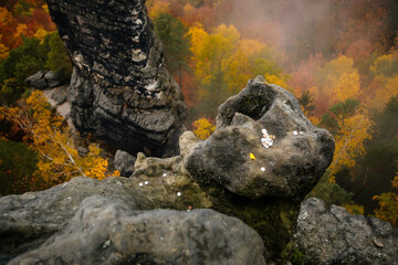 High sandstone cliff on autumn forest background, landscape near Pravcicka gate (Prebischtor) rock formation in Bohemian Switzerland national park, Czech Republic