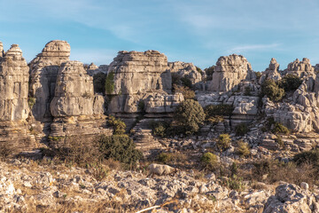 Fototapeta premium Ovejas en el Torcal de Antequera, Málaga.